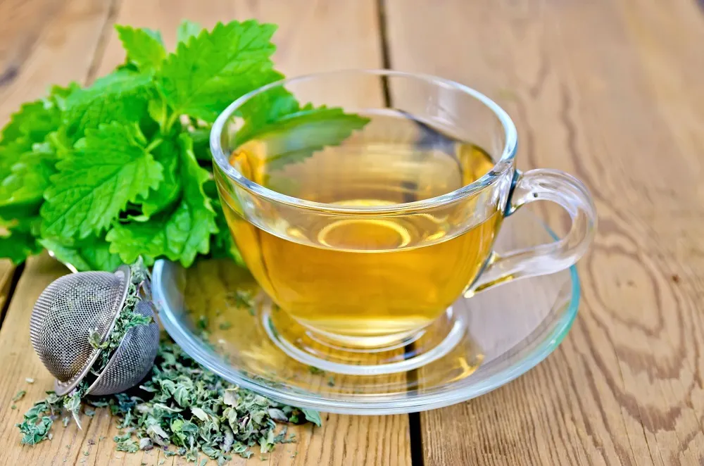 Infusión de melisa.
