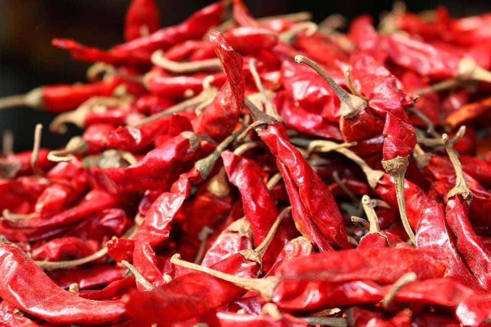 Dried Red Chillies At Johdpur Market