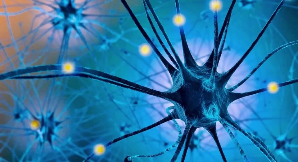 Serotonina.