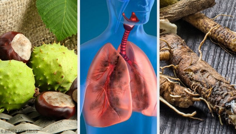 4 remedios caseros para fortalecer los pulmones