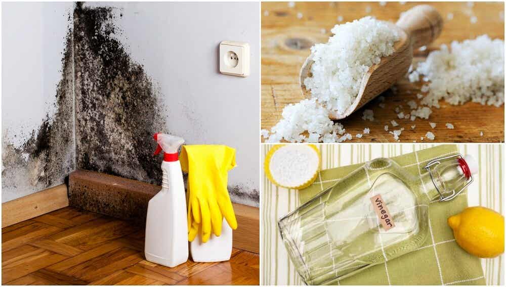 5 formas efectivas de deshacerte de la humedad de tu hogar