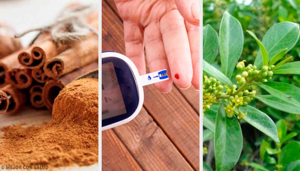 5 plantas medicinales que ayudan a controlar la diabetes