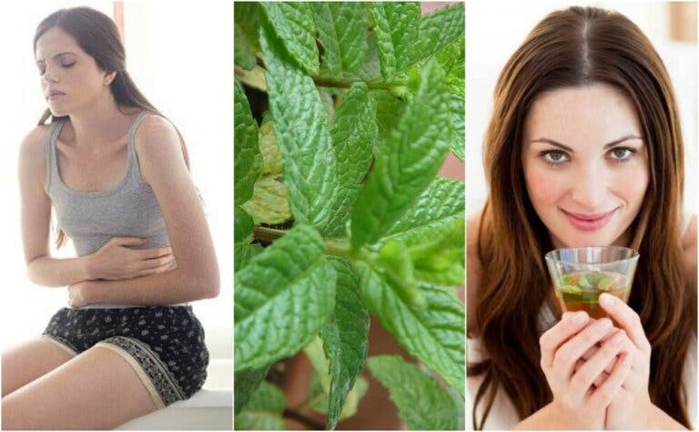 5 remedios caseros con menta que te gustará conocer