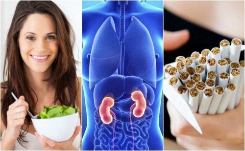 6 cuidados básicos para proteger la salud de tus riñones