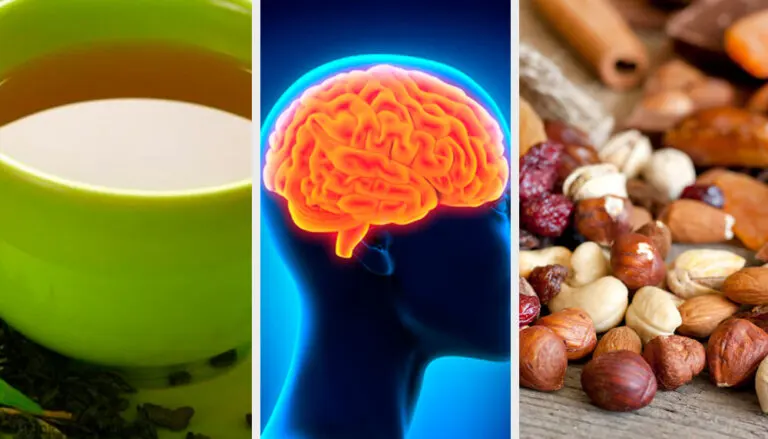 Alimentos que potencian la memoria y consejos para estimular la actividad cognitiva