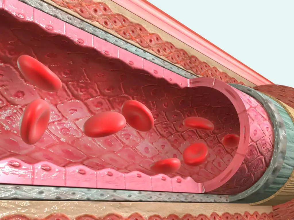 Aparato yuxtaglomerular