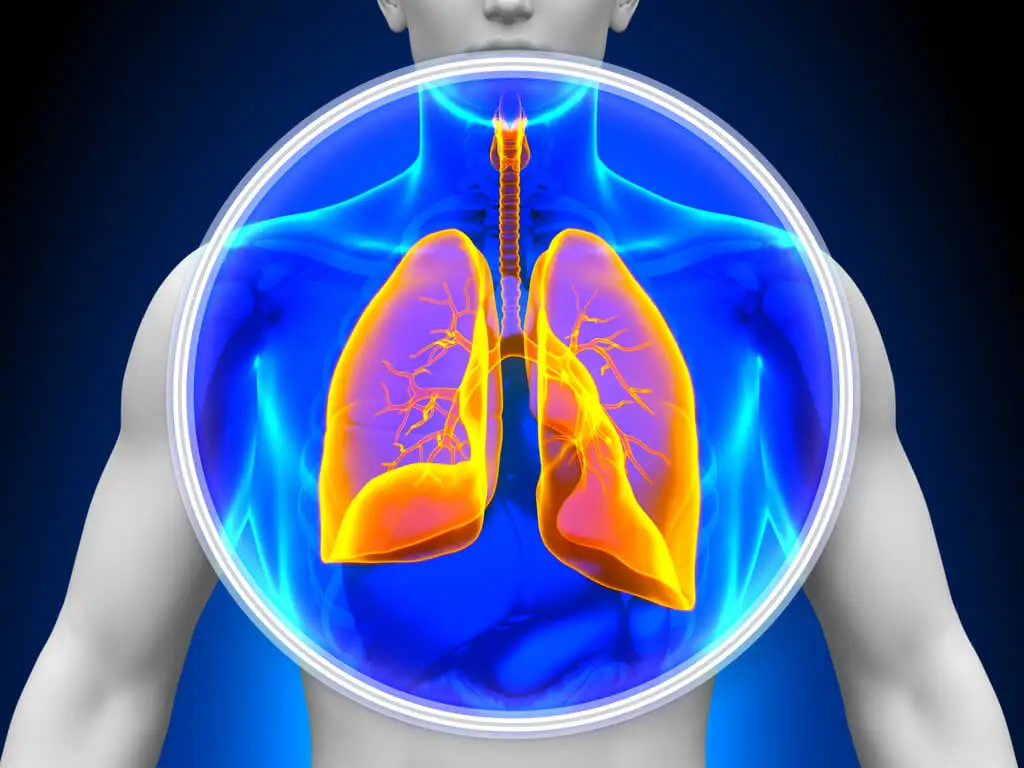 Pulmones con atelectasia