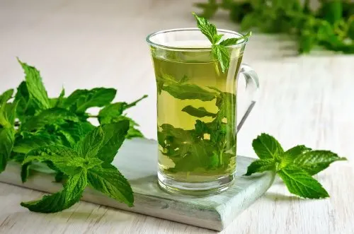 Beneficios y cosas que hay que saber sobre la menta poleo