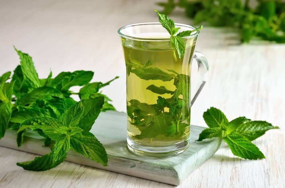 Beneficios y cosas que hay que saber sobre la menta poleo