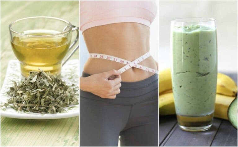 3 bebidas con té verde para bajar de peso