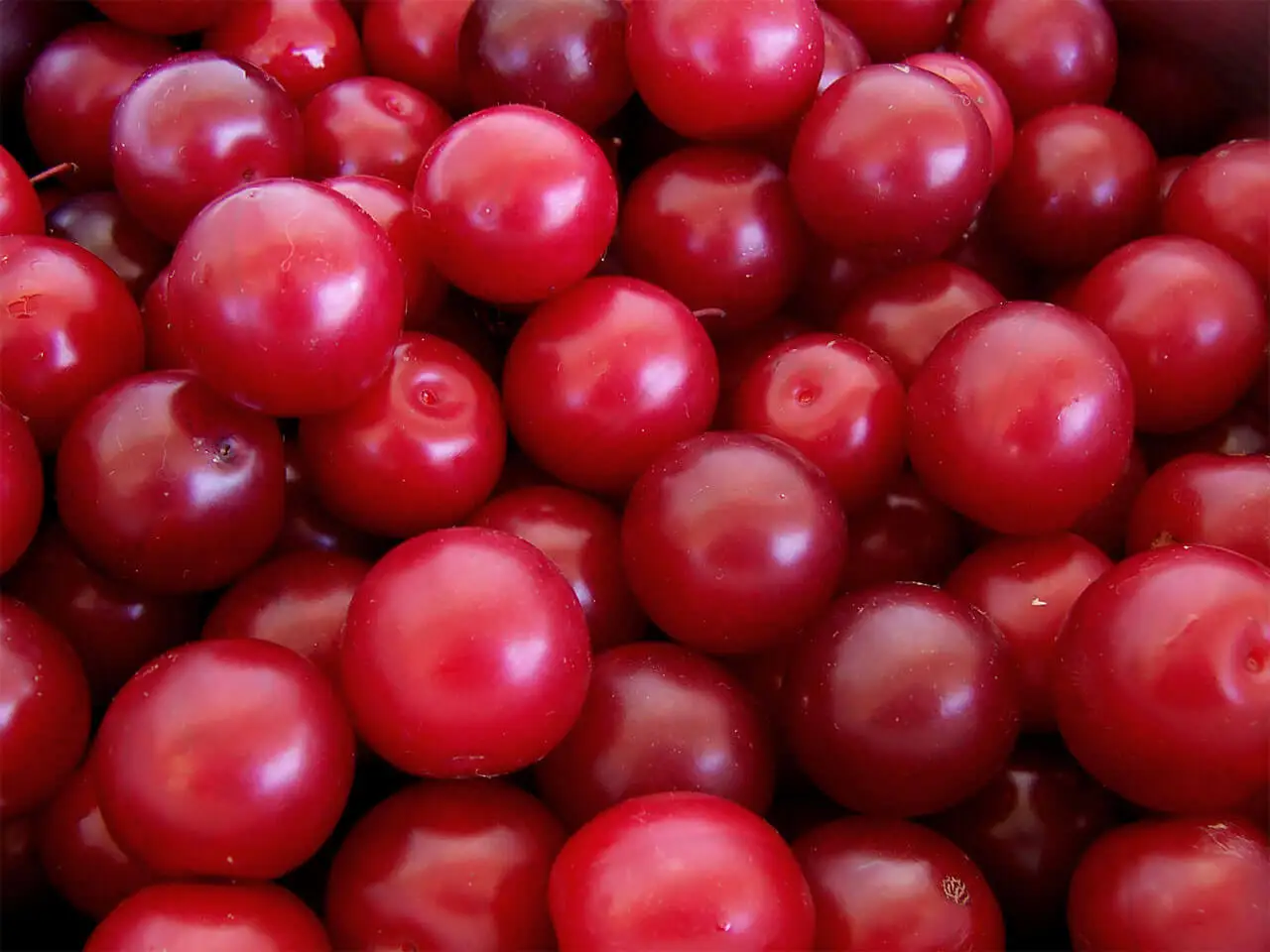 Ciruelas.