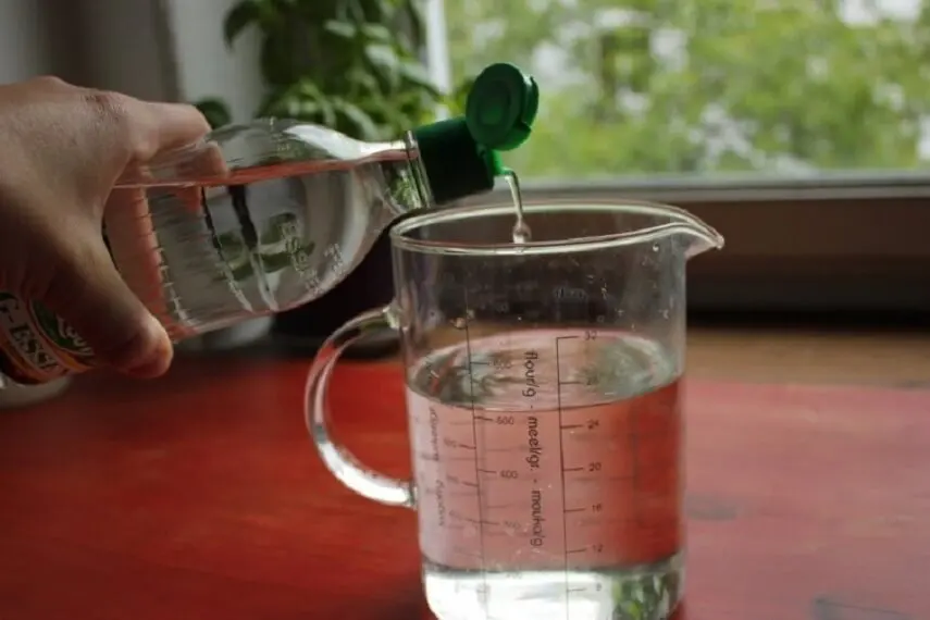 Cómo preparar esta receta a base de alcohol e ingredientes naturales