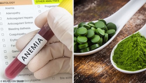 Cómo y cuándo tomar la espirulina para que sea más efectiva