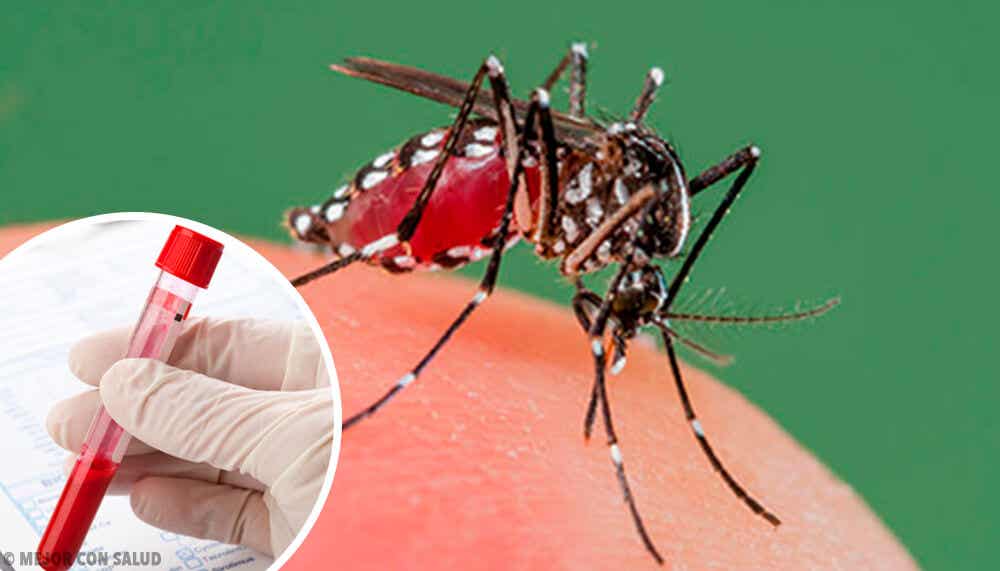 El dengue: síntomas, tratamiento y prevención