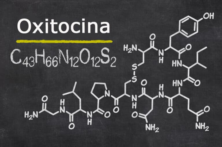 La oxitocina, la hormona del amor, esconde un lado oscuro que debes conocer