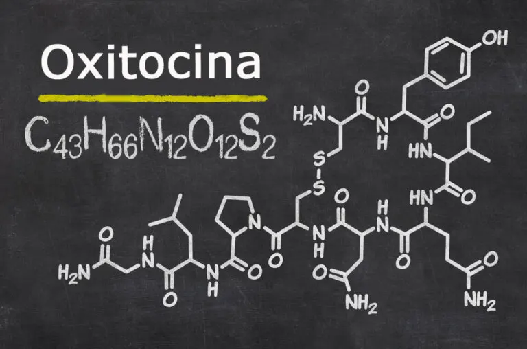 La oxitocina, la hormona del amor, esconde un lado oscuro que debes conocer