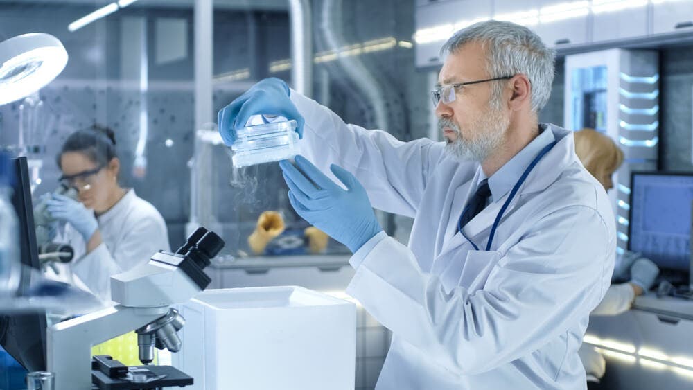 Le développement des techniques de génie génétique