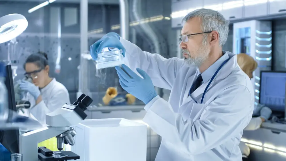 El desarrollo de técnicas de ingeniería genética