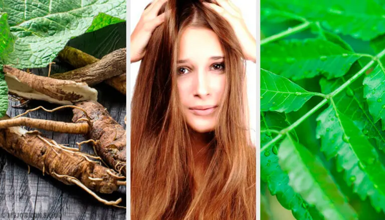 Elimina la caspa preparando 5 soluciones herbales