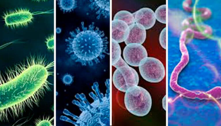 Enfermedades infecciosas