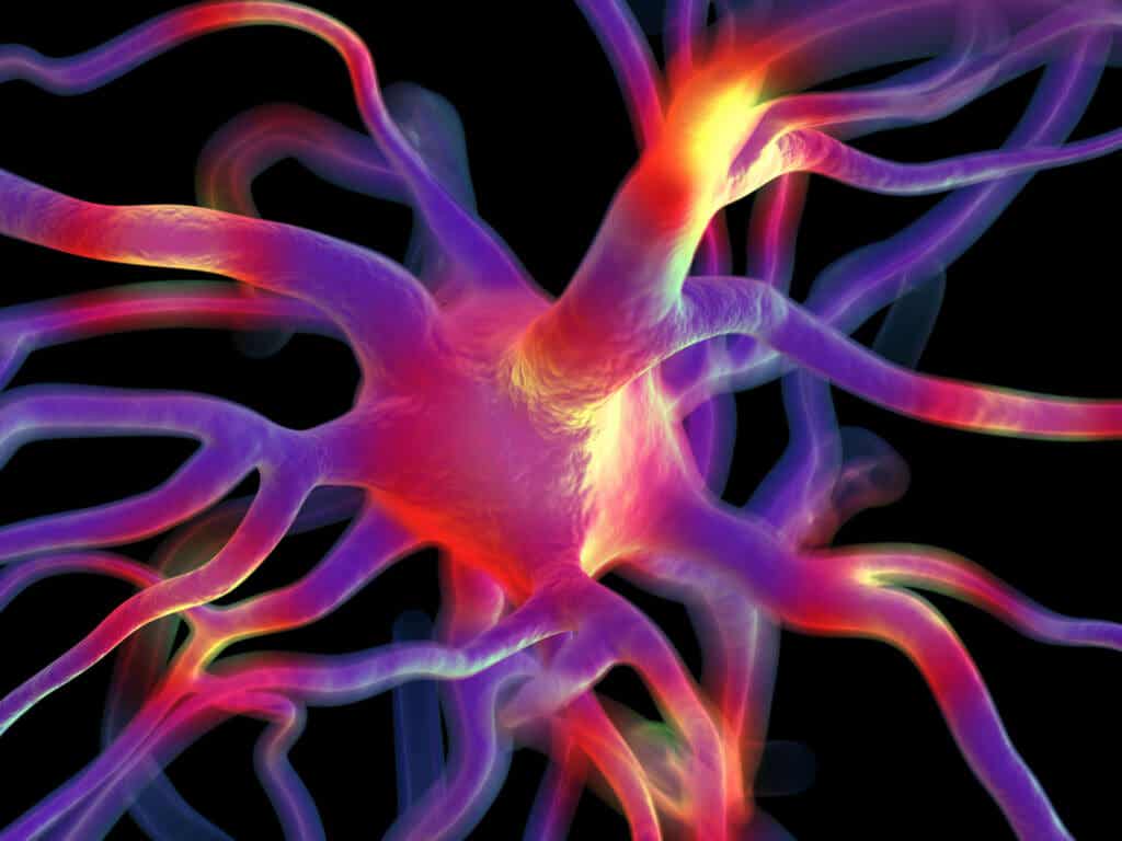 Recreación digital de una neurona: la mielina es esencial en su comunicación.