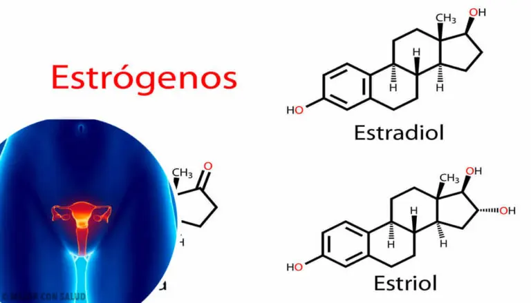 Estrógenos