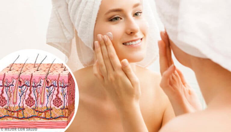 Fisiología de la piel