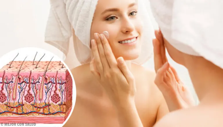 Fisiología de la piel