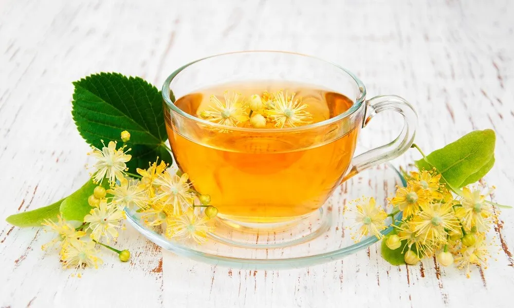 Infusion-de-tila