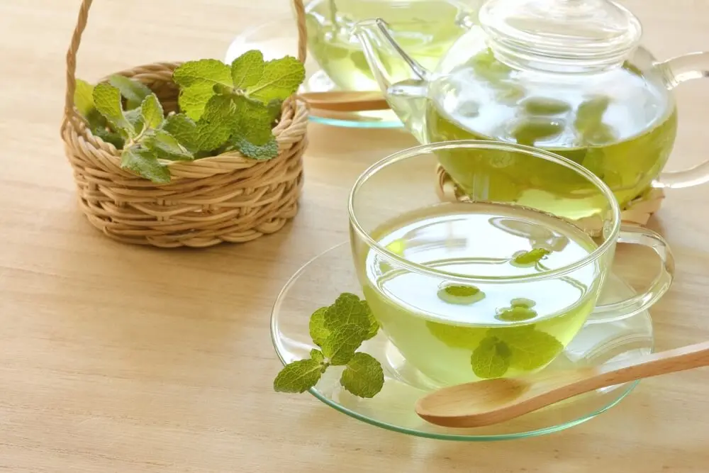 Infusión de menta
