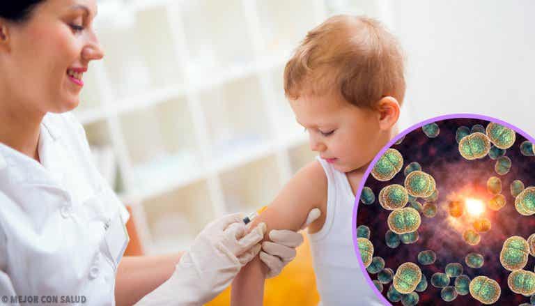 La vacuna contra la meningitis, importancia y riesgos