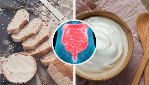 Los 3 pasos imprescindibles para tener un intestino saludable