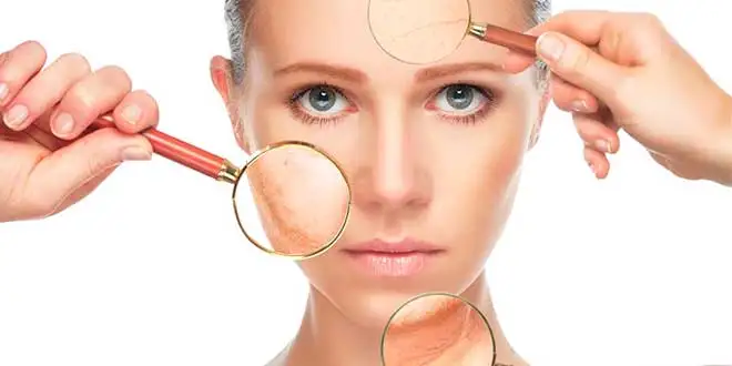 Los radicales libres contra el envejecimiento