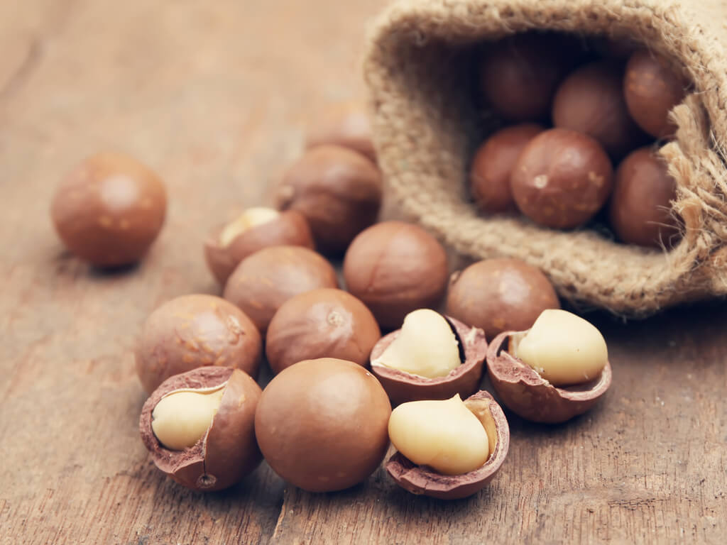 Nuez de macadamia
