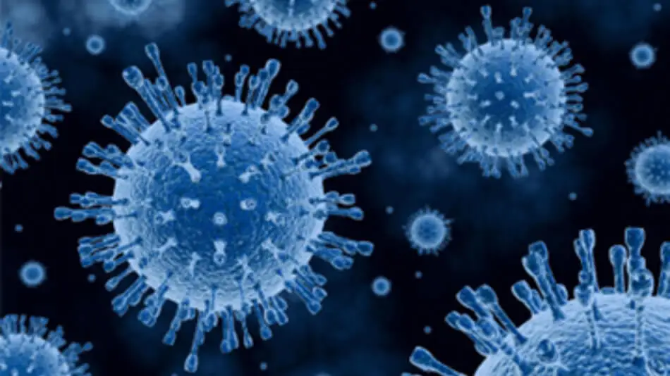 Poliovirus