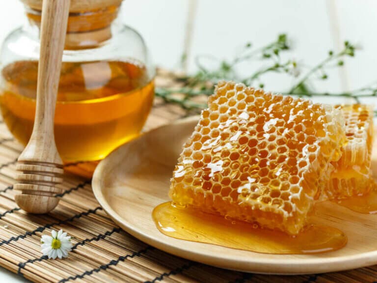 ¿Es el propóleo un antibiótico natural?