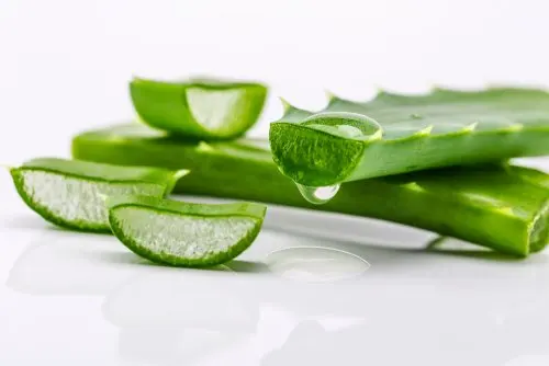 Aloe vera para la nutrición del cabello