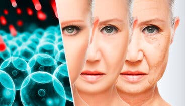 Radicales libres, los responsables del envejecimiento