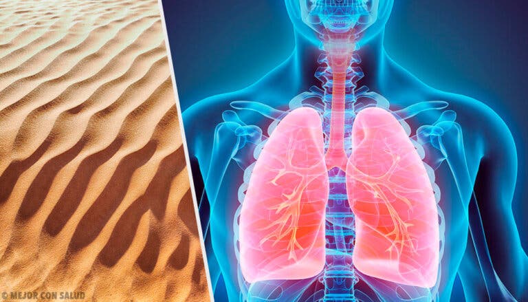 Silicosis: la enfermedad pulmonar por polvo de sílice