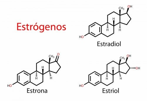Tipos-de-estrogenos-como-remedio-para-el-sindrome-de-Turner 