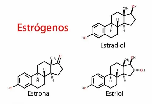 Tipos-de-estrogenos-como-remedio-para-el-sindrome-de-Turner