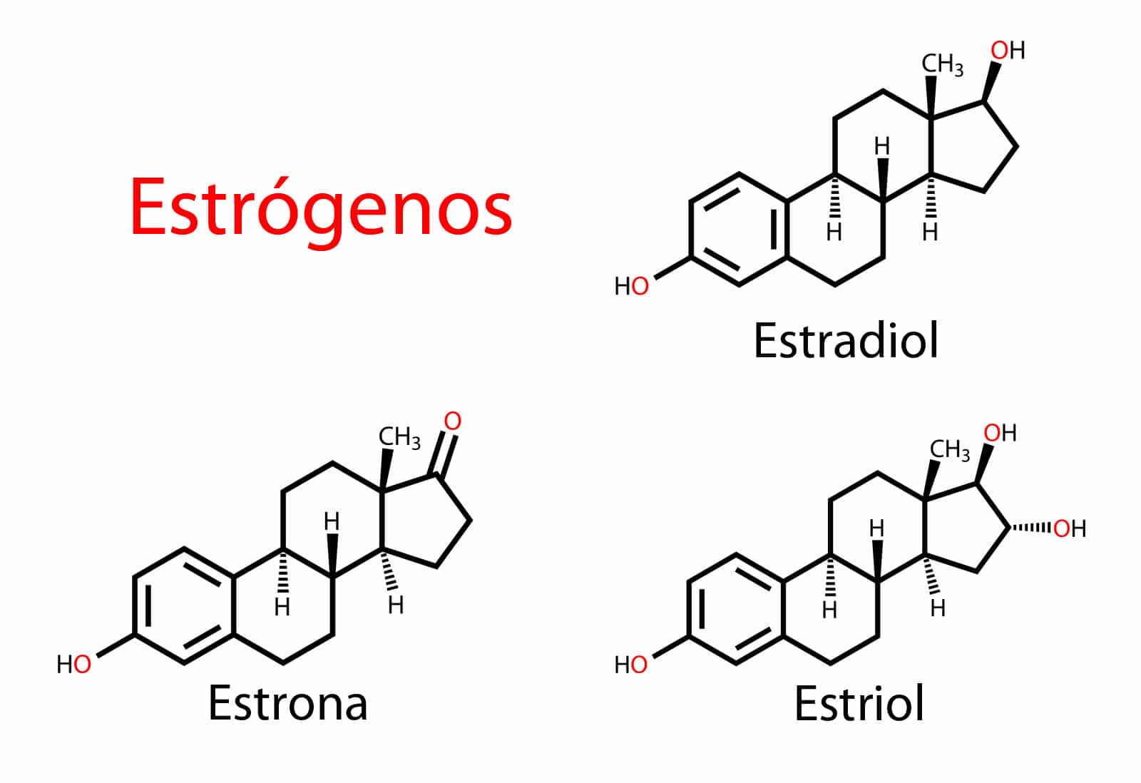 estrógenos y estradiol en la menopausia