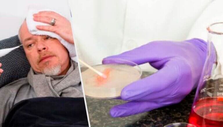 La brucelosis, qué es, contagio, síntomas y tratamiento