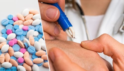 Tratamiento de la babesiosis