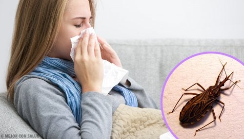 Tripanosomiasis americana: la enfermedad de Chagas