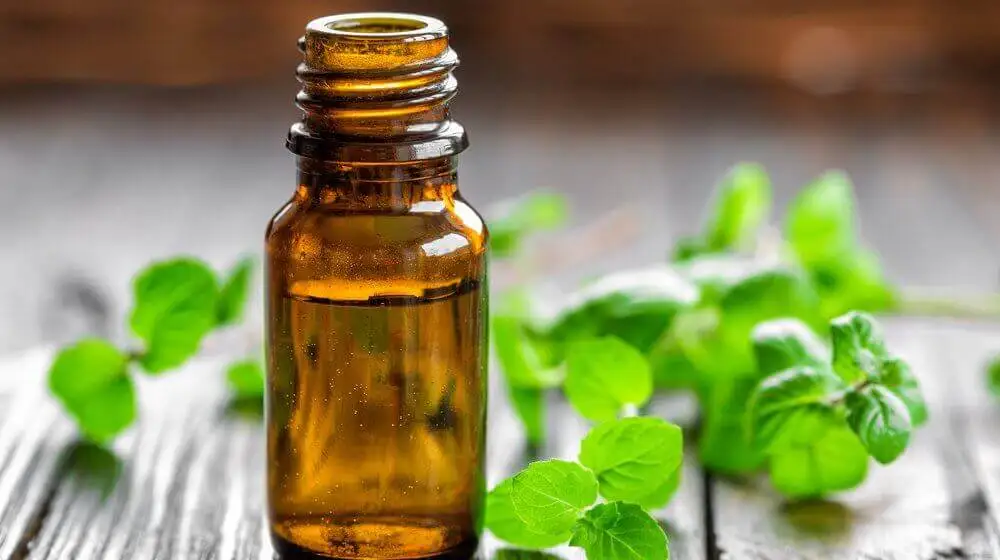 aceite-menta para bajar de peso