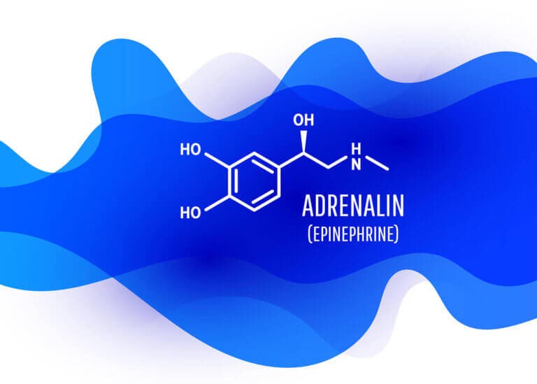 Así funciona y nos hace actuar la adrenalina