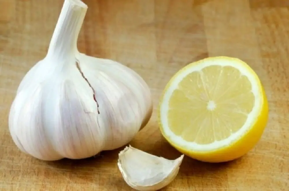 cómo elaborar una pomada de ajo y limón para las varices