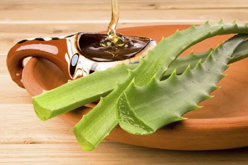 aloe-vera-miel-remedio