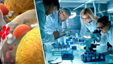 Las bacterias: potentes fábricas de insulina